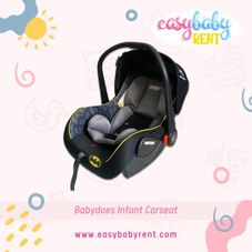 Gambar Babydoes Infant carseat