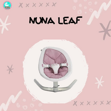 Gambar Nuna Leaf curv