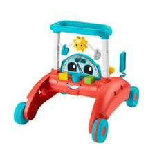 Gambar Fisher price Two sided walker