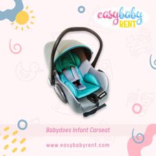 Gambar Babydoes Infant carseat