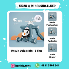 Gambar Kidzu 3 in 1 pushwalker