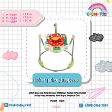 Gambar Fisher price Rain forest jumperoo