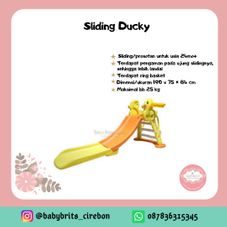 Gambar Paso Sliding ducky paso