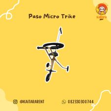 Gambar Trike  Paso push trike 