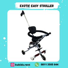 Gambar Exotic Easy trike