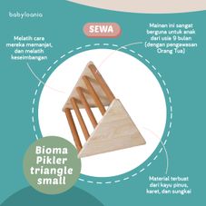 Gambar Bioma Pikler triangle small