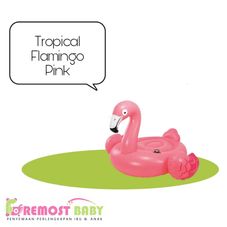 Gambar Intex Tropical flamingo pink