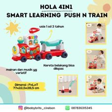 Gambar Hola Hola 4in1 smart learning push n train