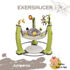 Gambar Even flo Exersaucer