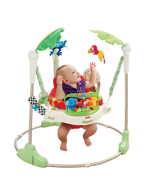 rainforest jumperoo age limit