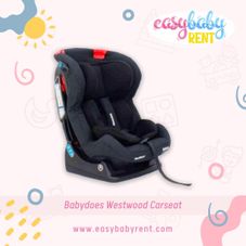 Gambar Babydoes Westwood carseat