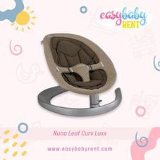 Gambar Nuna Leaf curv luxx