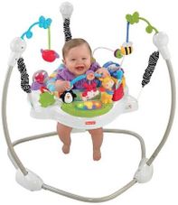 Gambar Fisher price Jumperoo discover and grow