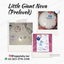 Gambar Little giant Nova sakura (jual preloved)