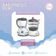 Gambar Babymoov Nutribaby grey