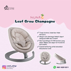 Gambar Nuna Leaf grow champagne