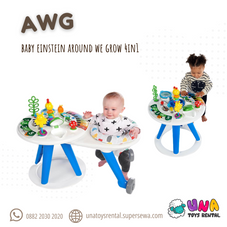 Gambar Baby einstein Around we grow 4 in 1