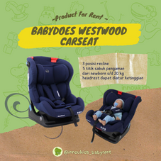 Gambar Babydoes Westwood carseat