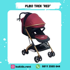 Gambar Pliko Trek - newborn stroller