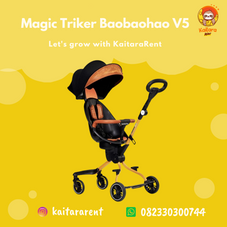 Gambar Baobaohao  Magic stroller v5