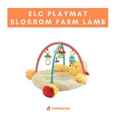 Gambar Elc Blossom farm laurie lamb