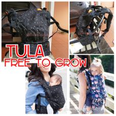 Gambar Tula Free to grow