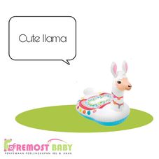 Gambar Intex Cute ilama