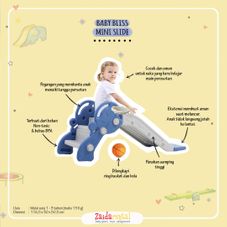 Gambar Baby bliss Mini slide