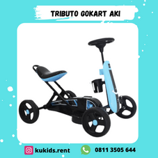 Gambar Pmb toys Tributo gokart aki