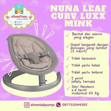 Gambar Nuna  Leaf curve luxx