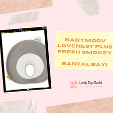 Gambar  Bantal bayi babymoov
