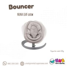 Gambar Nuna Nuna leaf grow