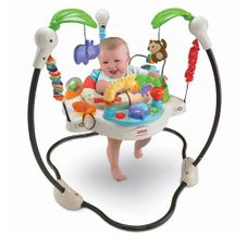 Gambar Fisher price Jumperoo luv zoo