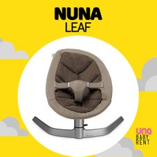 Gambar Nuna Leaf (almond)