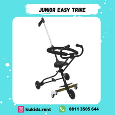 Gambar Junior Easy trike