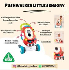 Gambar Elc Pushwalker elc little sense