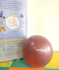 Gambar Kettler Gym ball 65cm