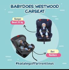 Gambar Babydoes Carseat westwood