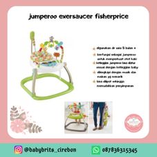 Gambar Fisherprice Jumperoo fp spacesaver