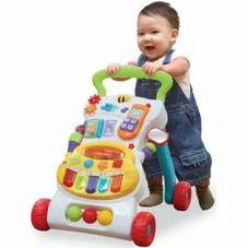 Gambar Vtech  Pushwalker