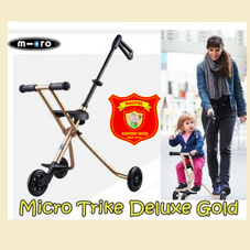 Gambar Elc Micro trike