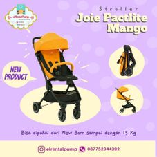 Gambar Joie Pactlite