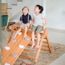 Gambar Bioma Pikler 