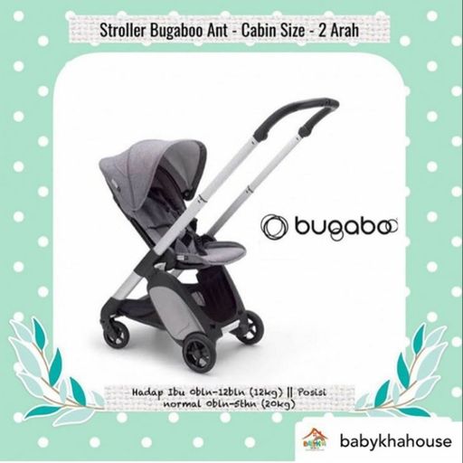 Harga bugaboo 2025 ant 2019