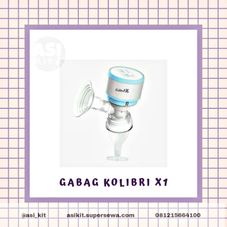 Gambar Gabag Gabag kolibri x1