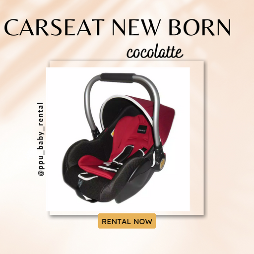 Sewa baby hotsell car seat