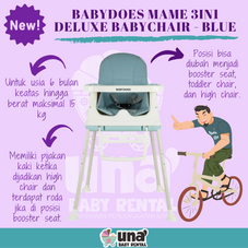 Gambar Babydoes Mame 3in1 deluxe babychair